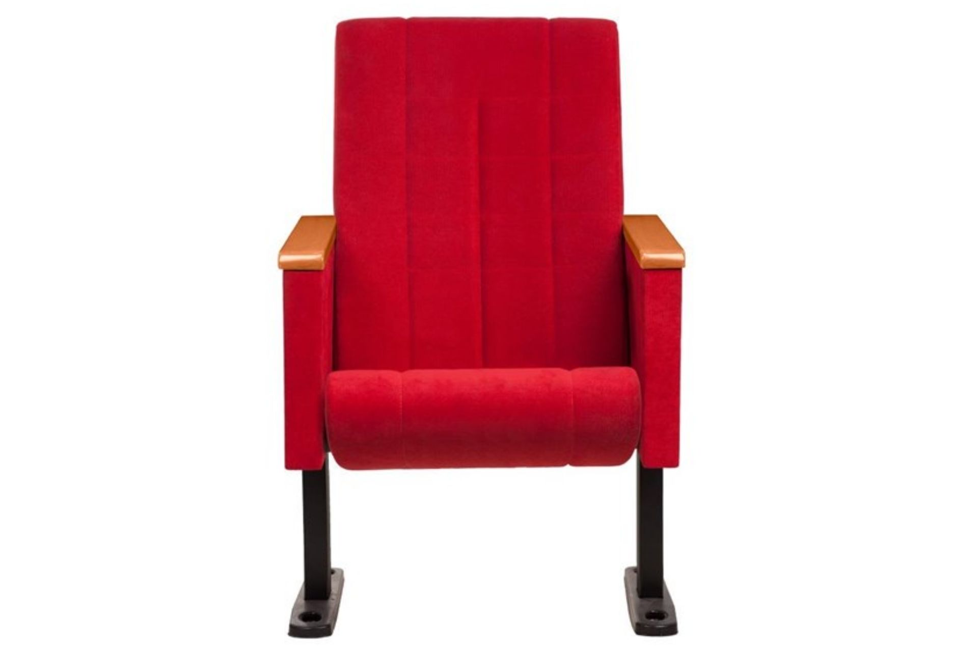 Fenike Sinema ve Konferans Koltuğu