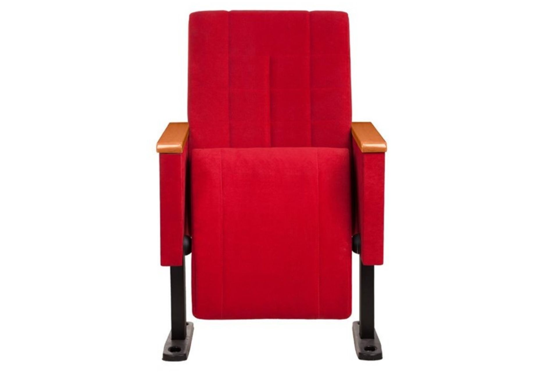 Fenike Sinema ve Konferans Koltuğu