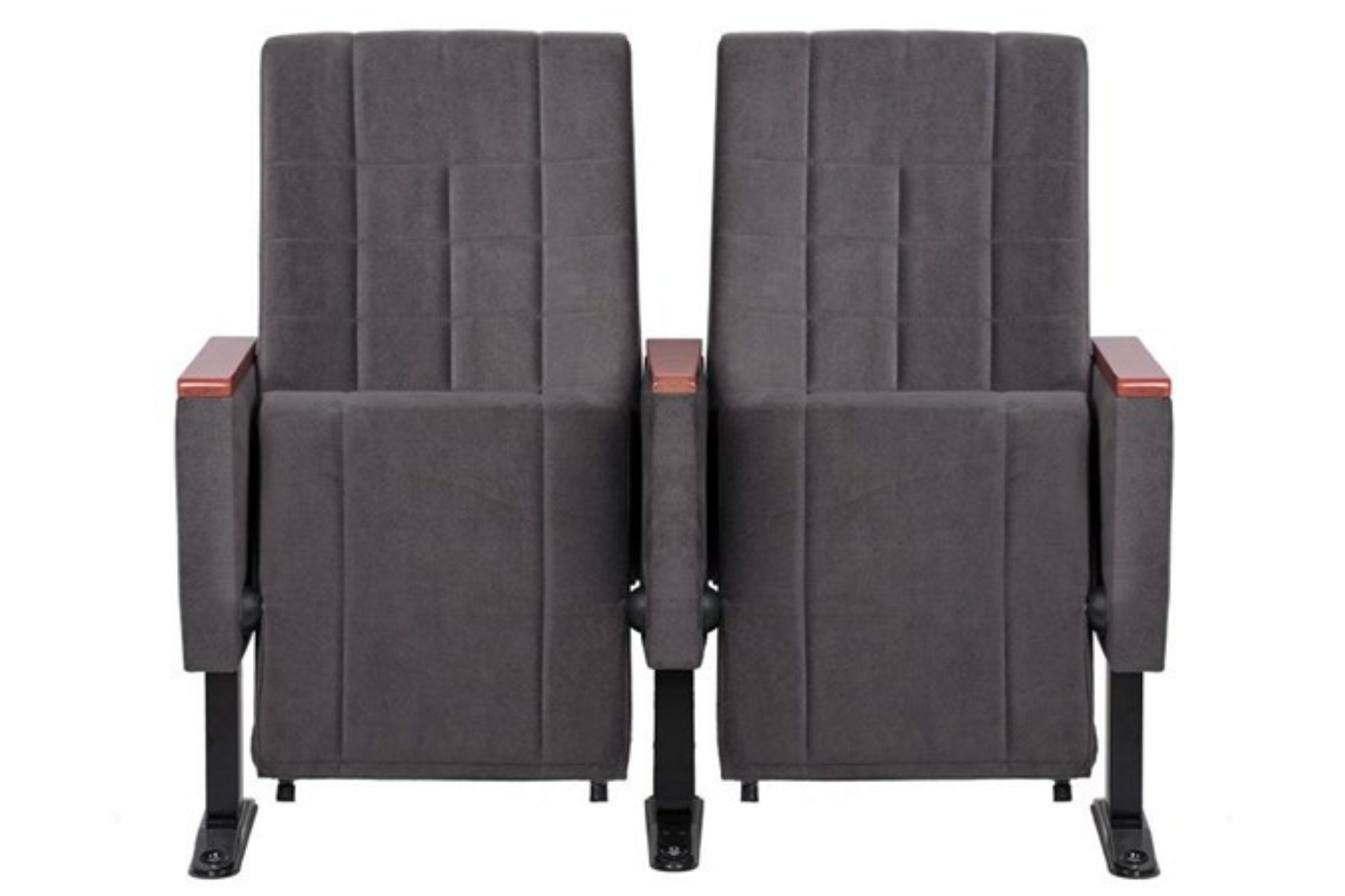 Fenike Sinema ve Konferans Koltuğu