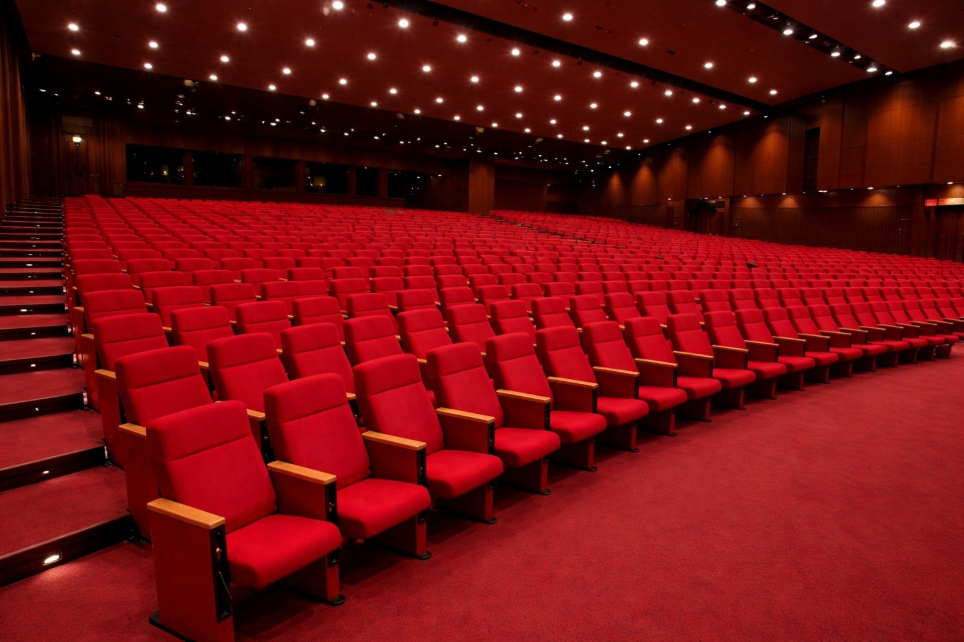 Maria Konferans Salonu Koltuğu