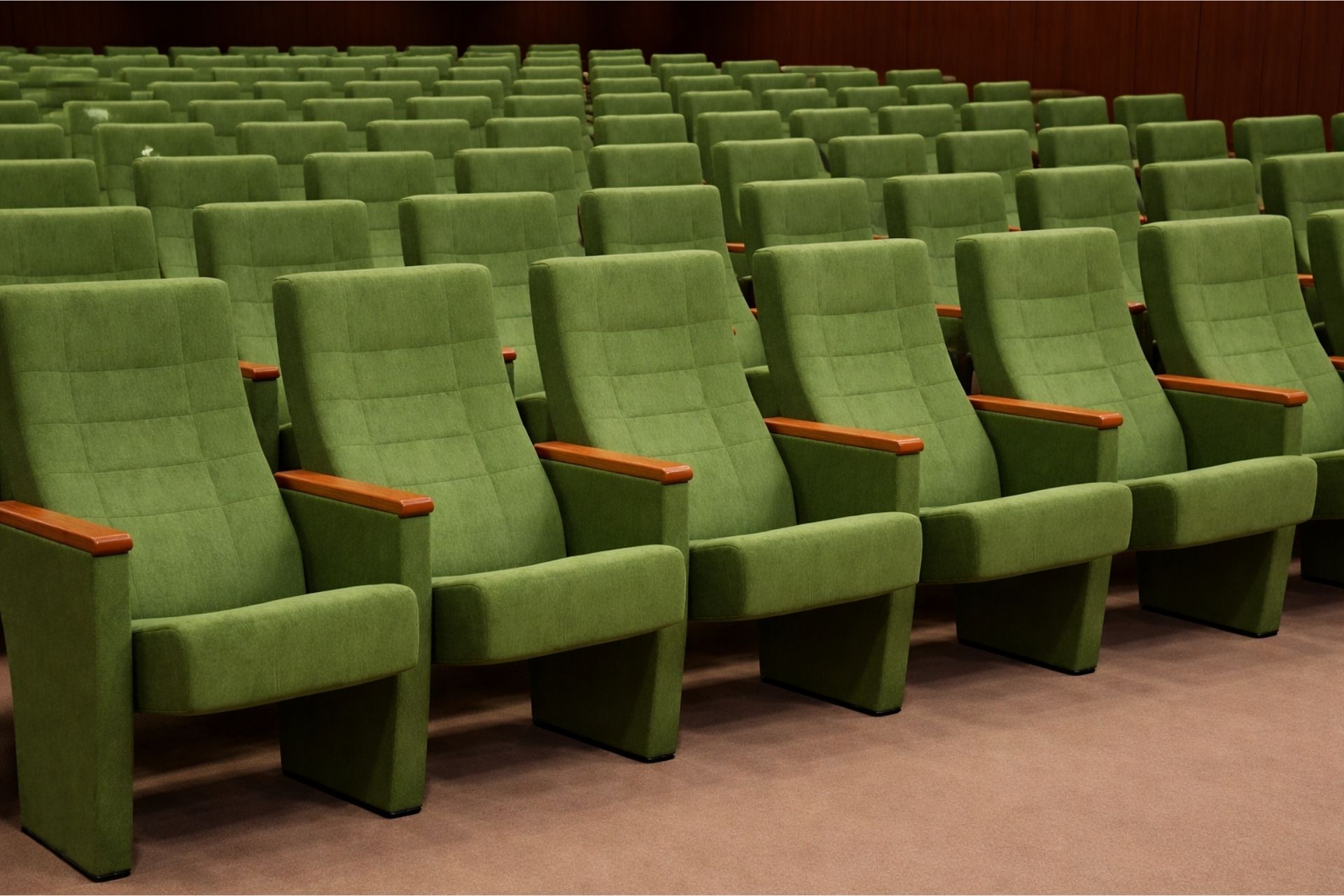 Fenike 2 Sinema ve Konferans Koltuğu