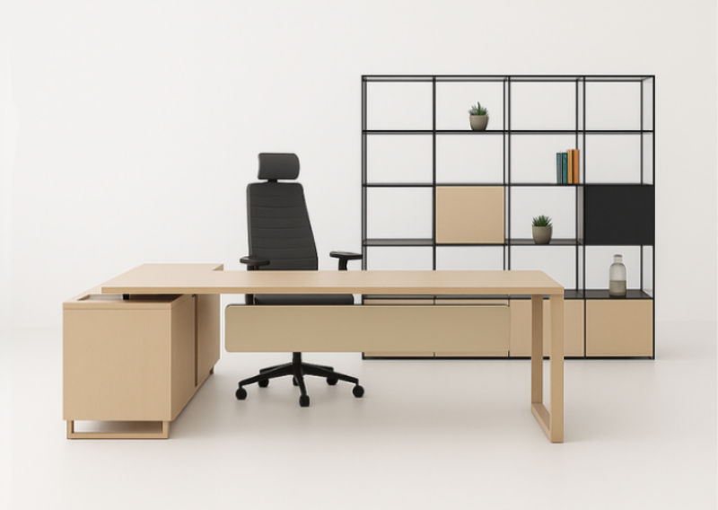 Care Ofis Yönetici Masası